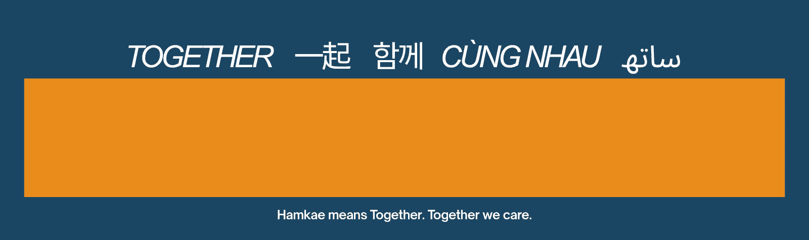 5-Language Community Resource Flyers